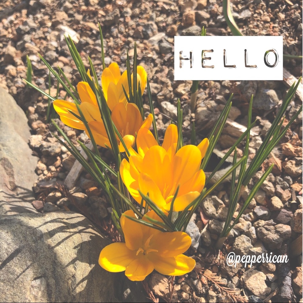 Welcome!